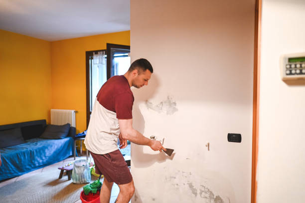 Best Bathroom Mold Remediation in Blackwells Mills, NJ